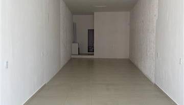 WhatsApp Image 2026-02-23 at 12.06.43 1.jpeg